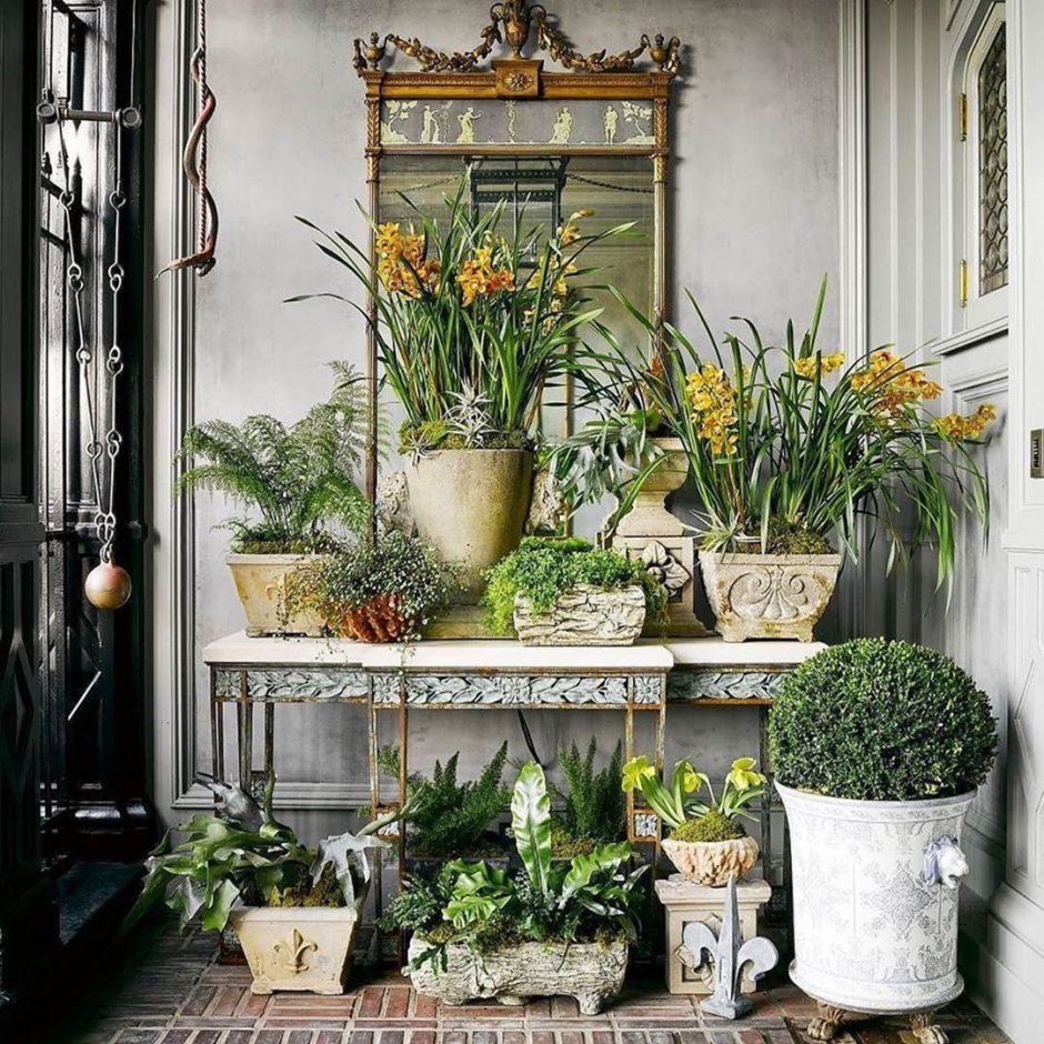 Красивые композиции из комнатных растений
