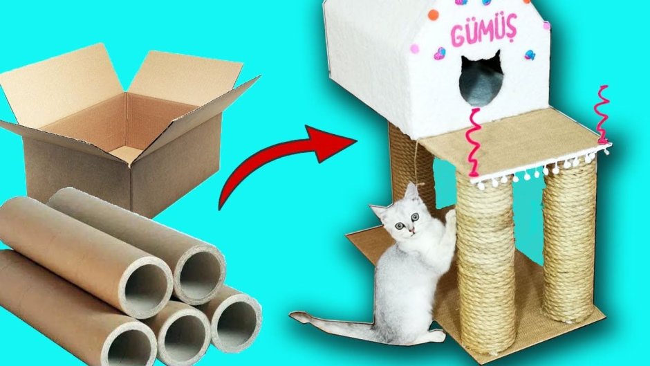 Домик с когтеточкой для кошки из картонной коробки