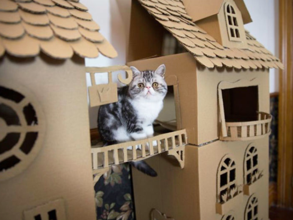 Двухэтажный дом кошке из картона