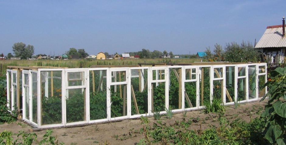 Теплица из рам