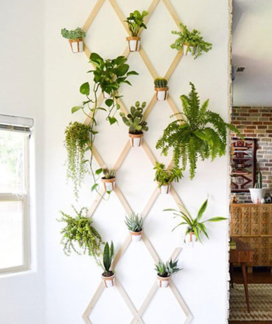 Декор стены растениями