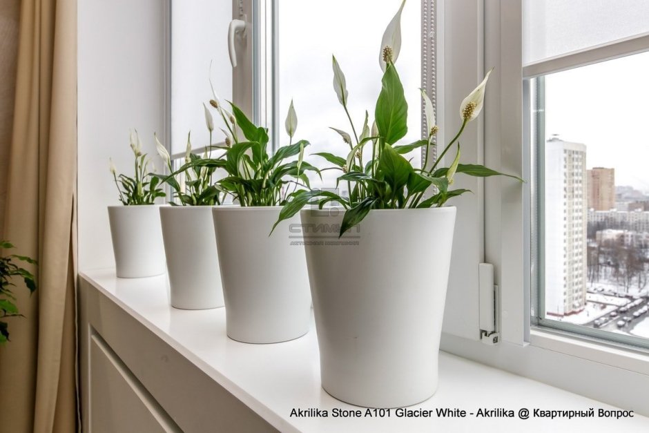 Akrilika a101 Glacier White
