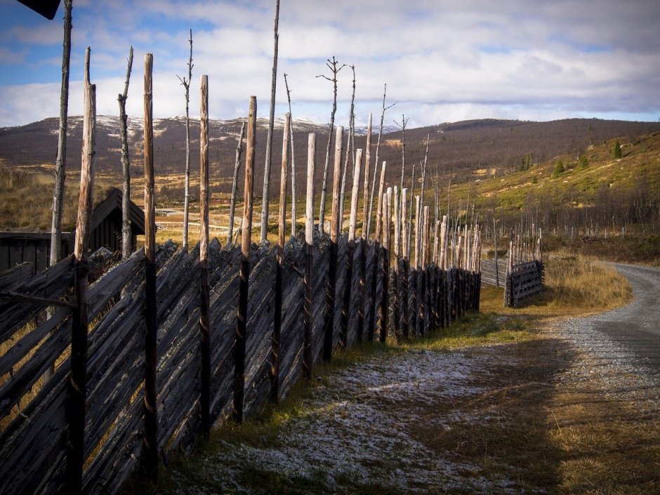 Забор в стиле викингов