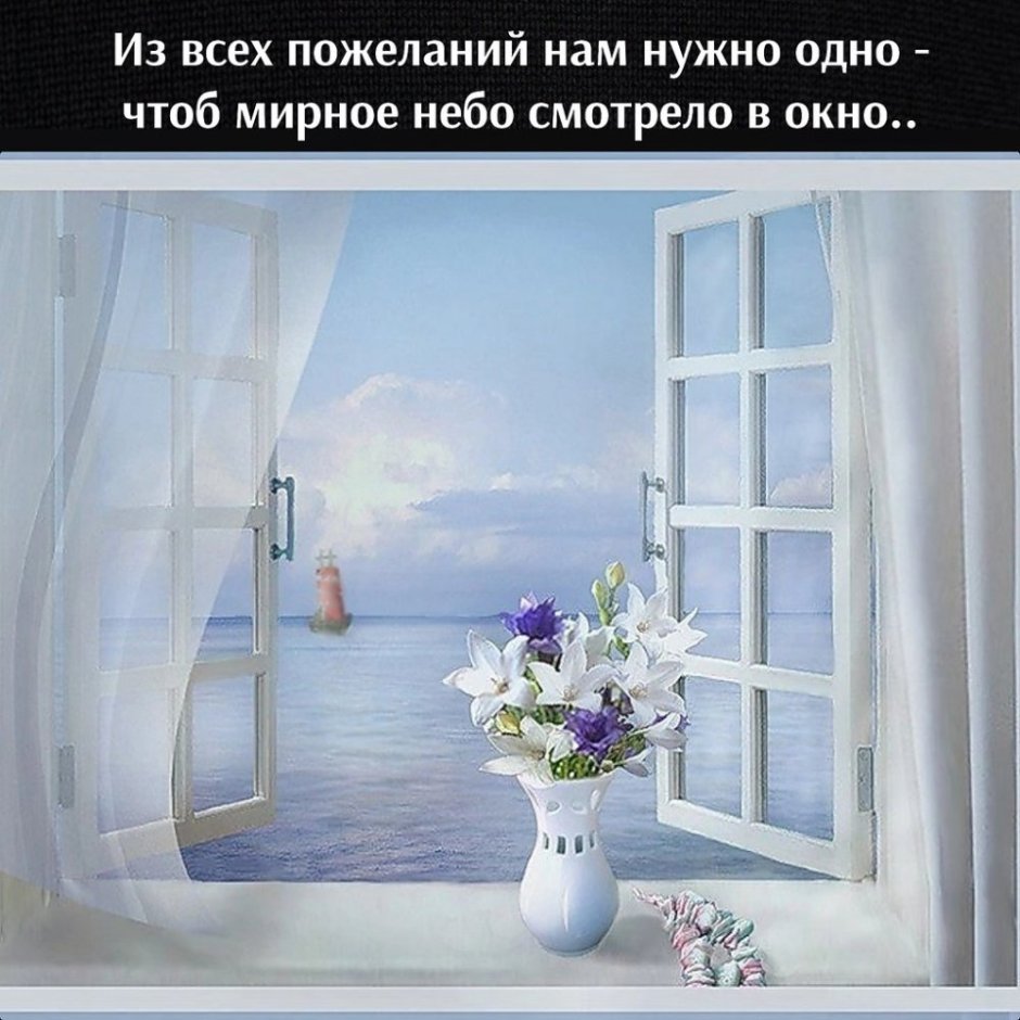 У окна