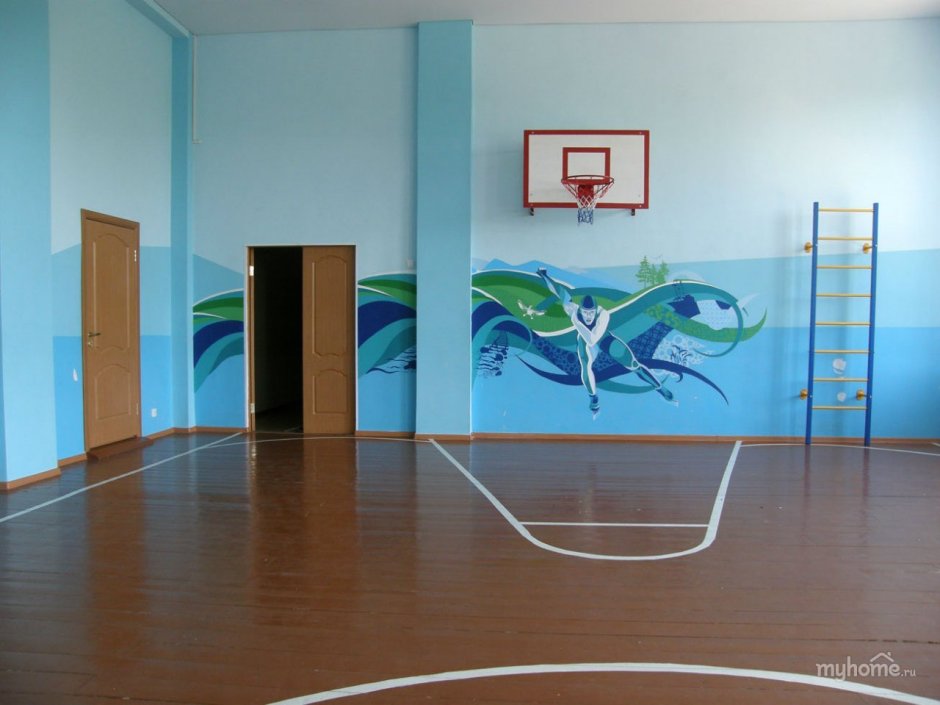 Стены спортивного зала школы