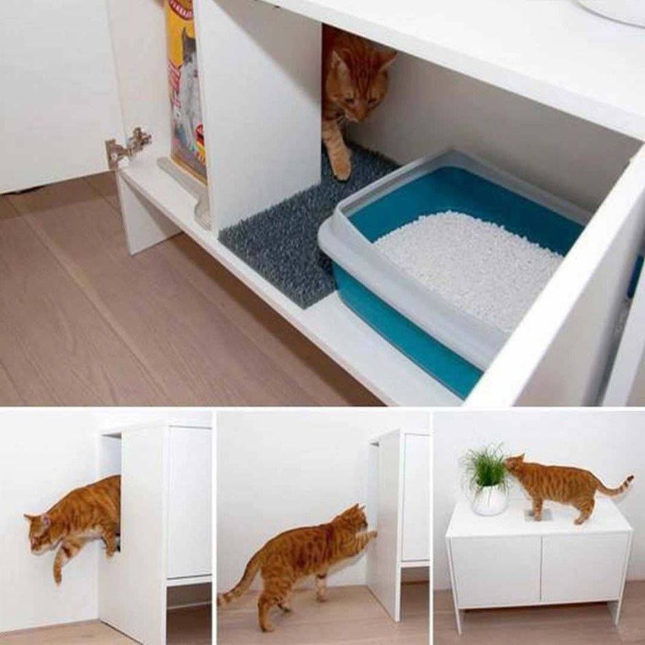 Кошачий туалет в шкафу