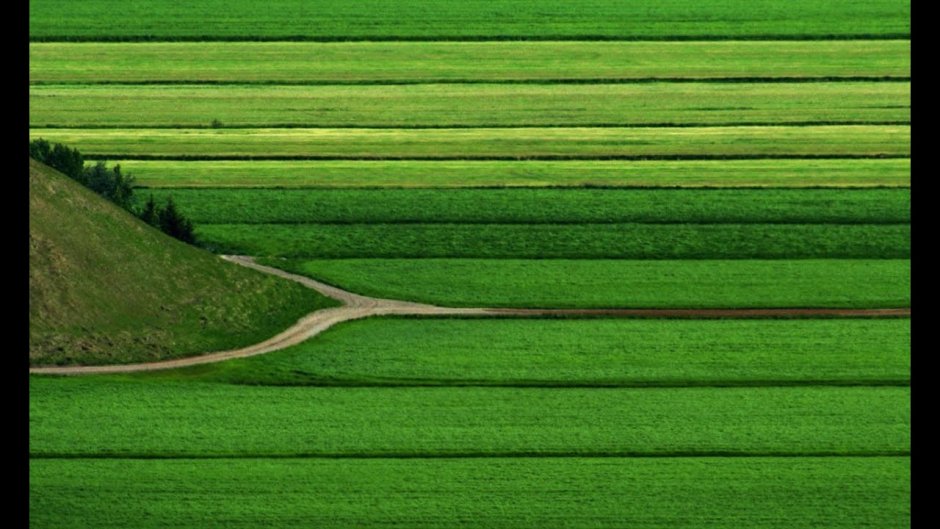 Field Green Colour