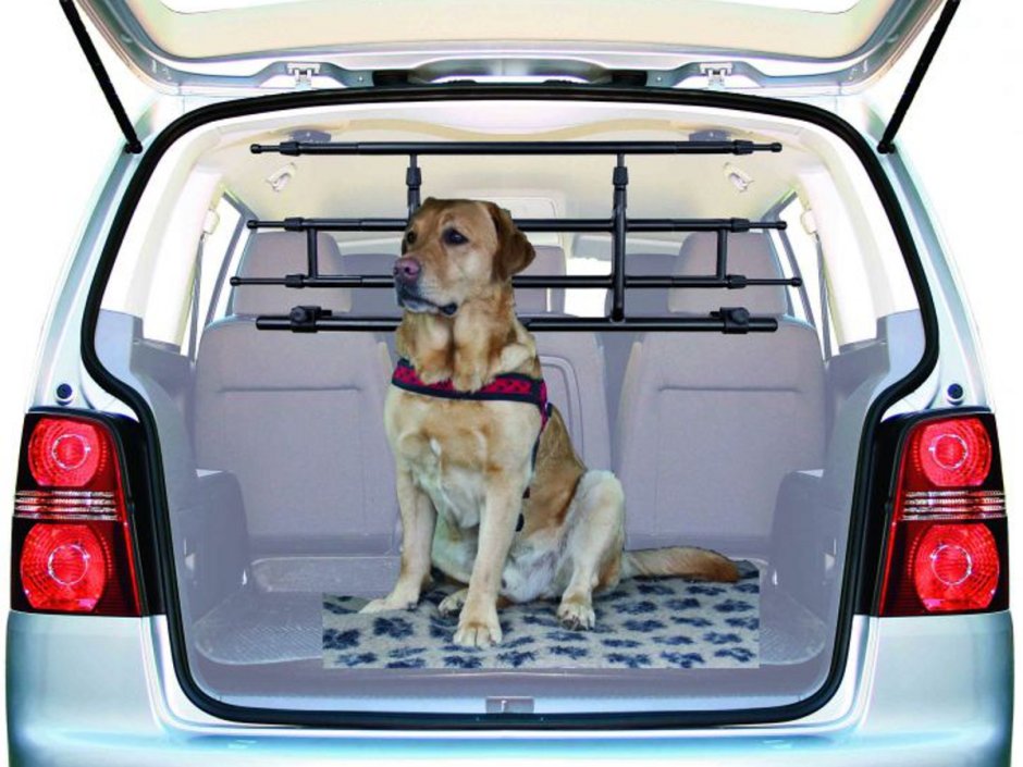 Сетка в машину для собак в багажник