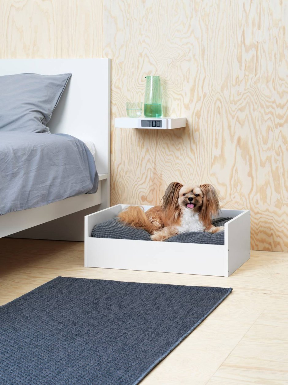 Мебель для собак и кошек
