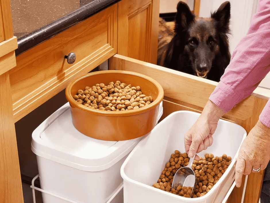 Хранение корма для собак