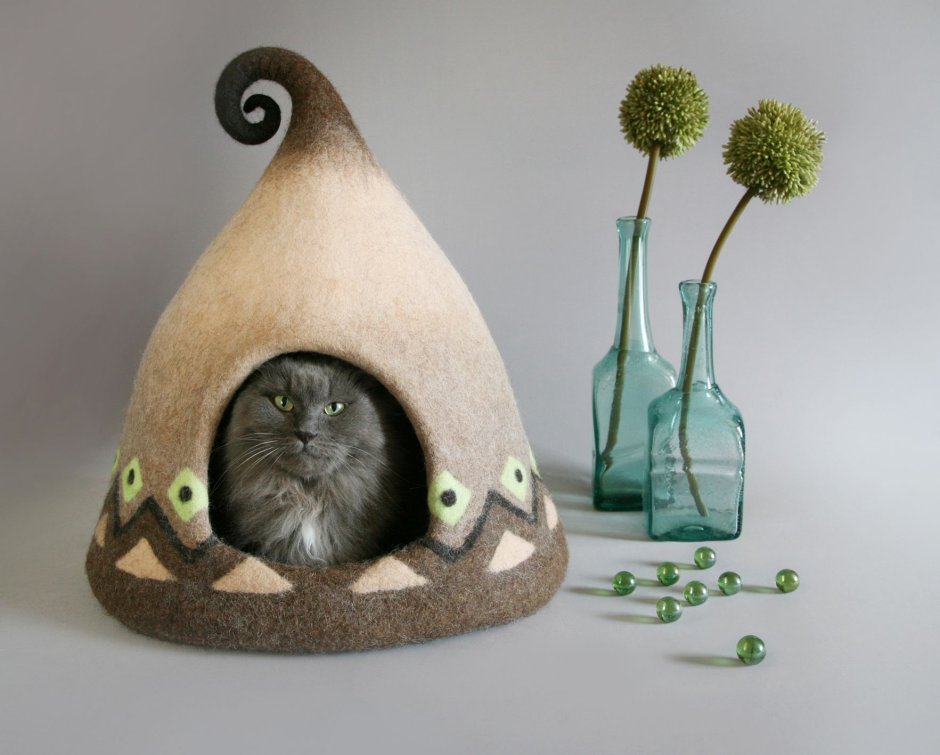 Кот в костюме улитки