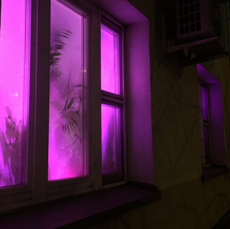 Фиолетовые окна