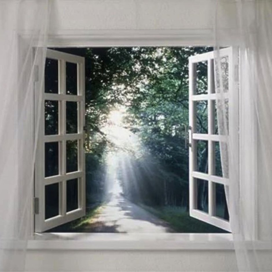 Открытые настежь окна