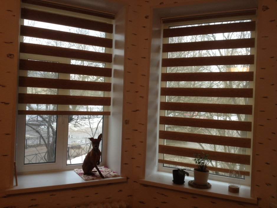 Жалюзи Зебра в коричневых тонах на пластиковые окна