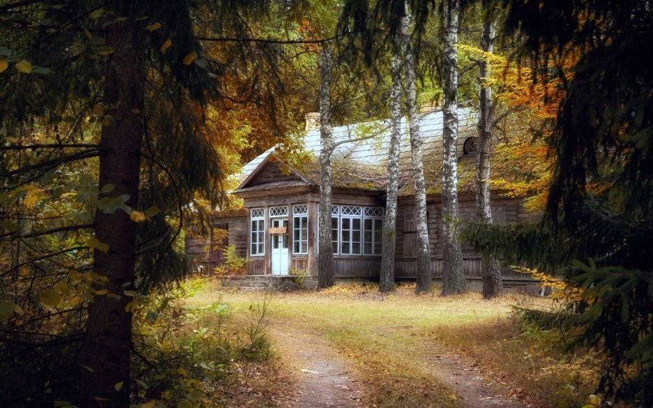 Старенький домик в лесу