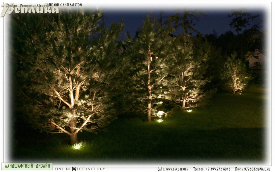 Подсветка хвойных деревьев
