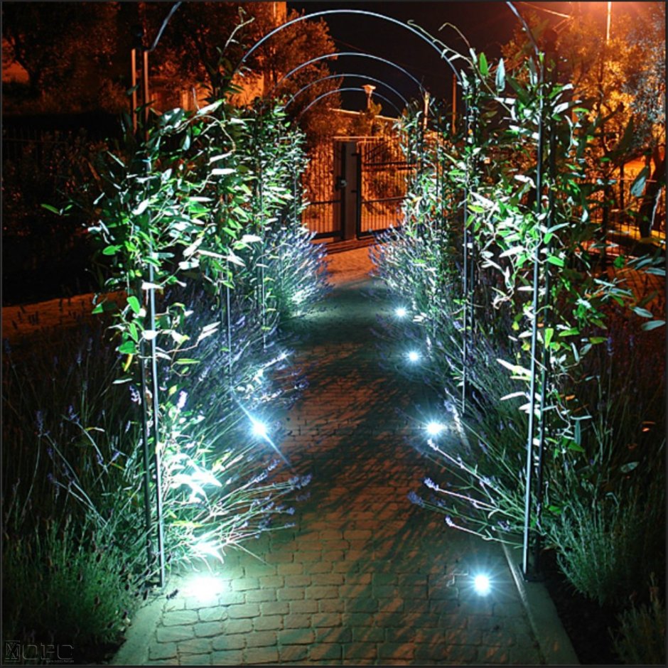 Декоративное освещение растений