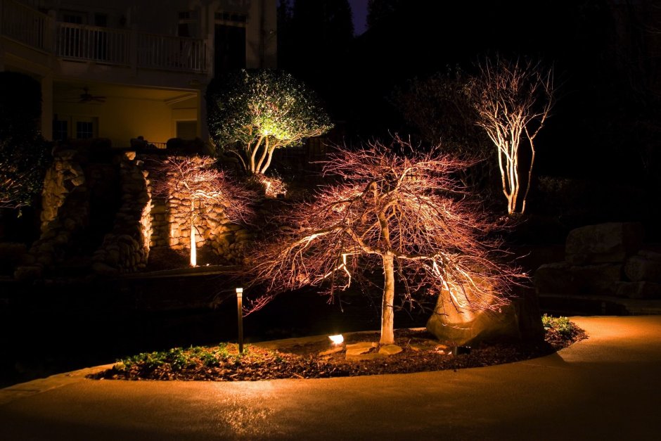 Ландшафтное освещение подсветка дерева