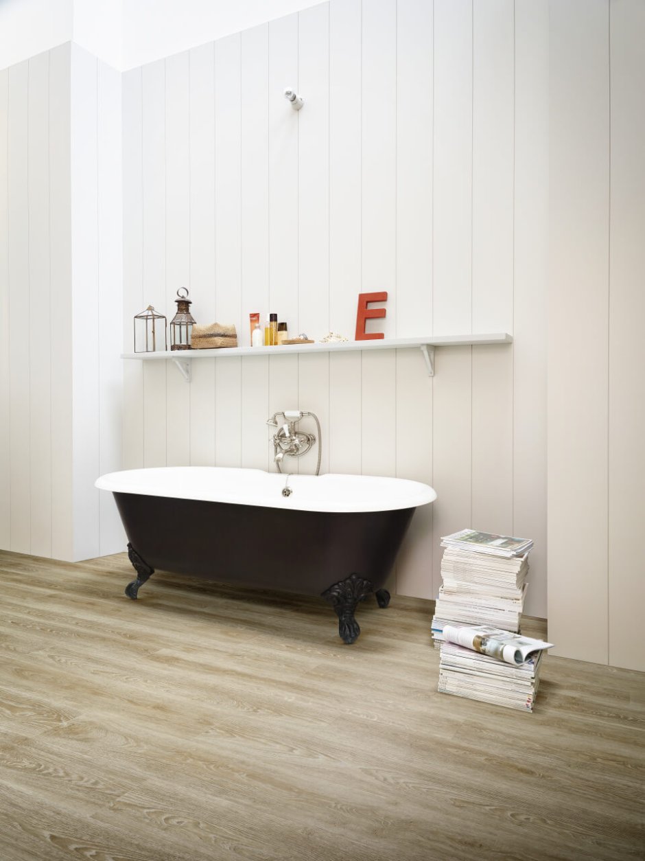 Scarlet Oak 50230