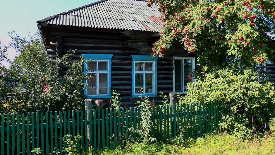 Деревенский домик Саранск