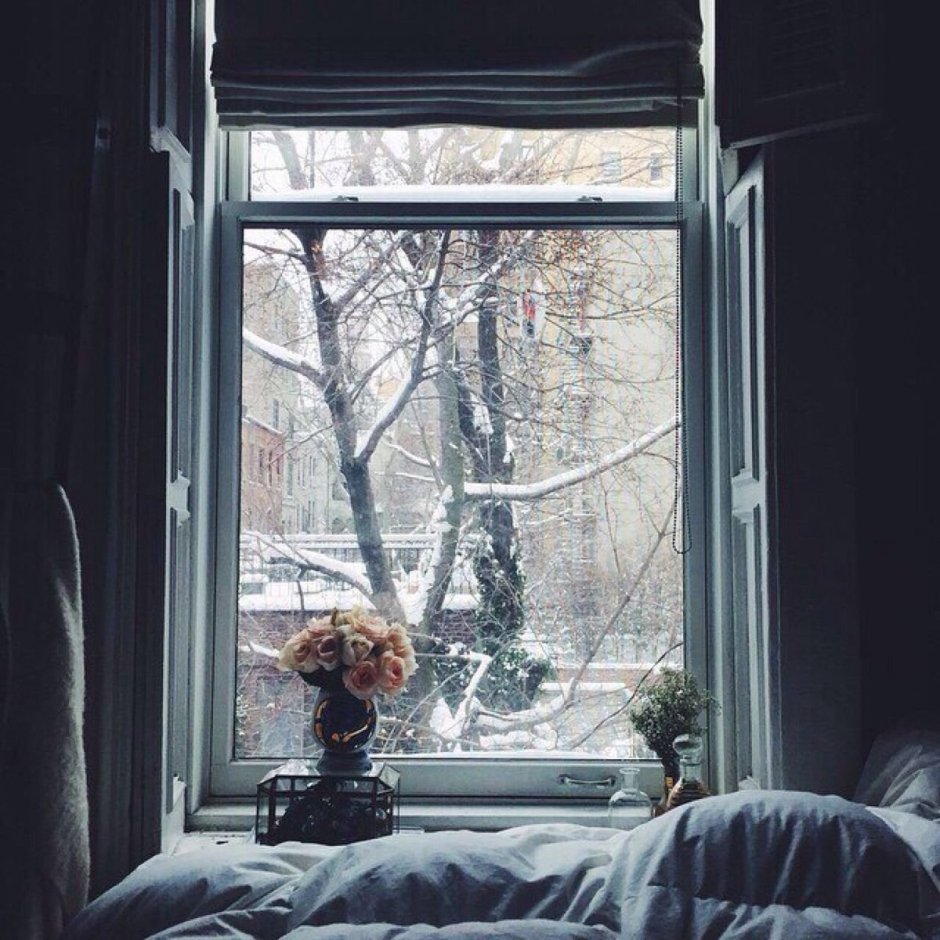 Уютный зимний вид из окна
