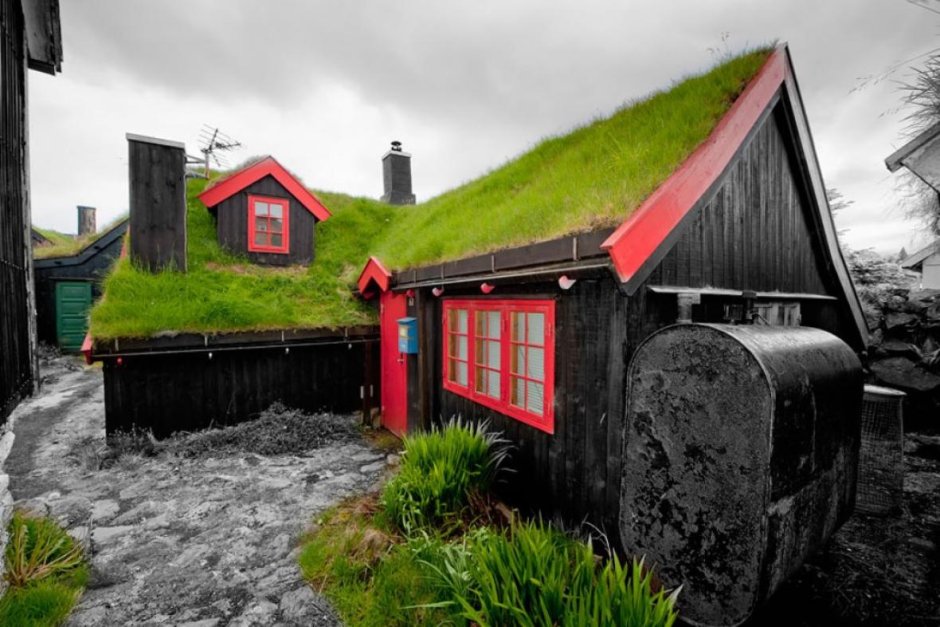 Зеленая кровля в Норвегии