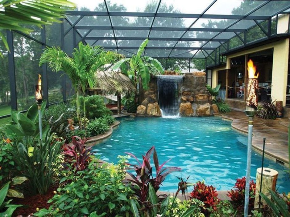 Тропическая оранжерея аквапарк зимний сад