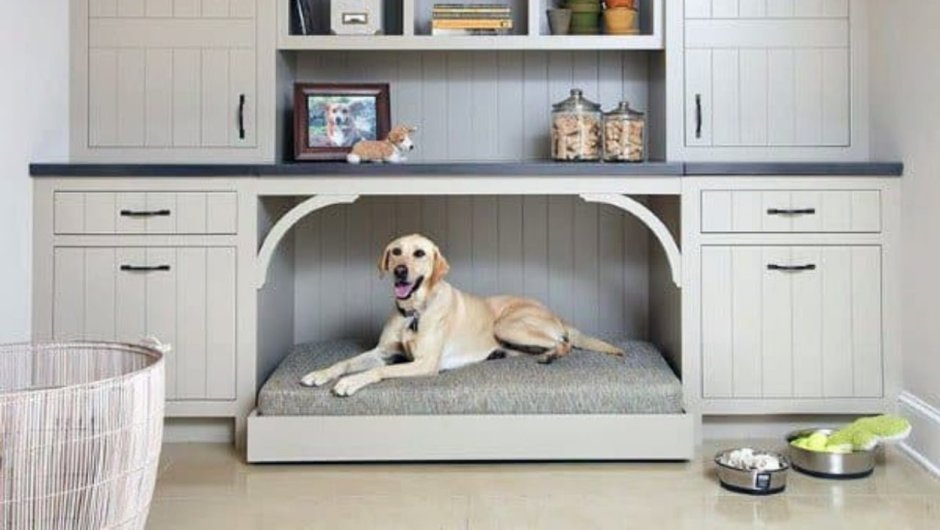 Мебель с местом для собаки
