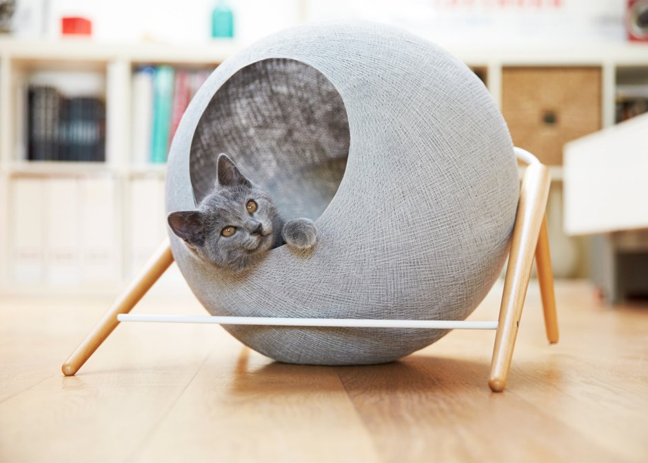 Необычные домики для кошек