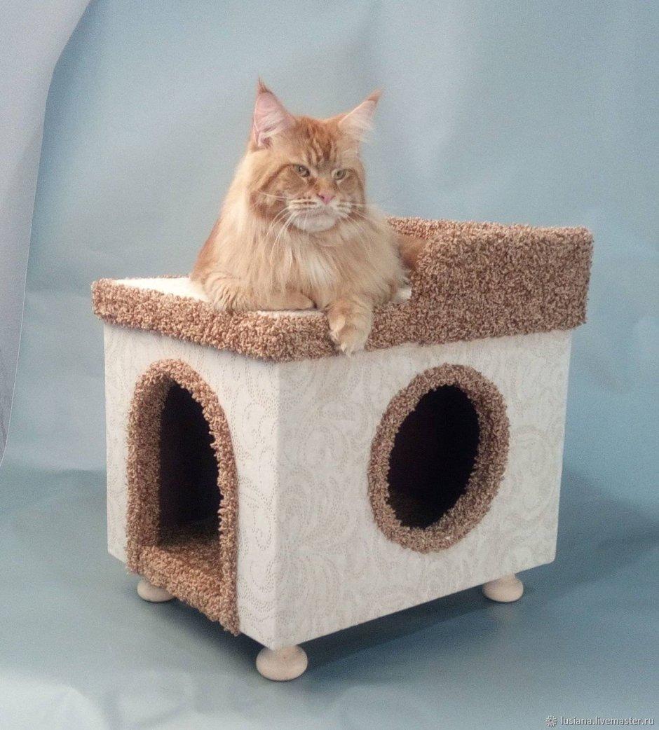 Домик для кошки с котятами