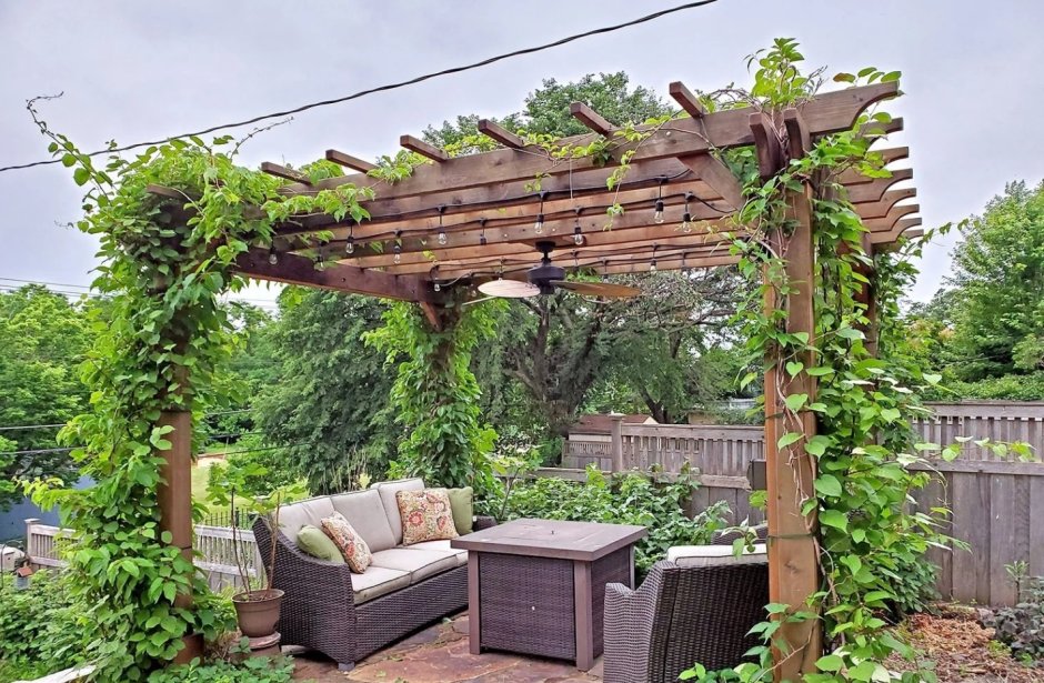 Пергола деревянная для винограда