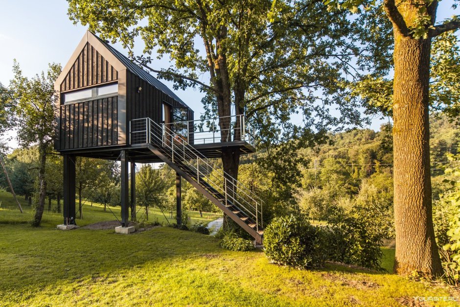 Дом на дереве на сваях