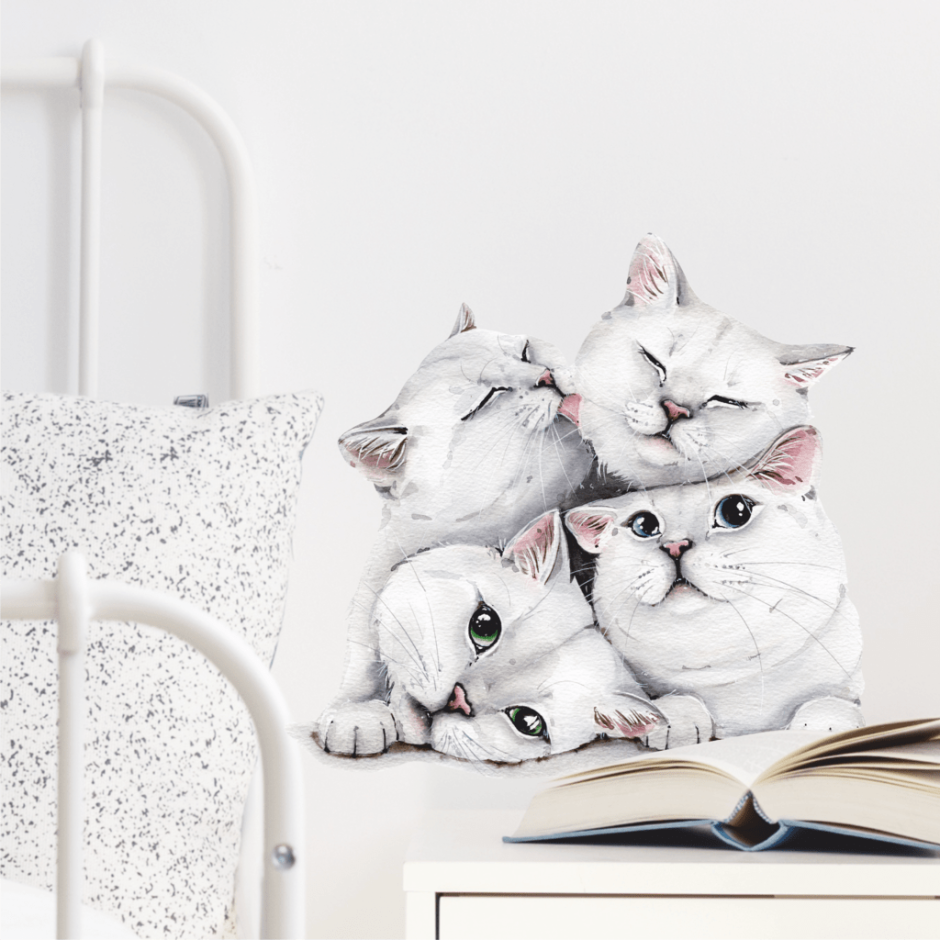 Котики на стенах в Москве