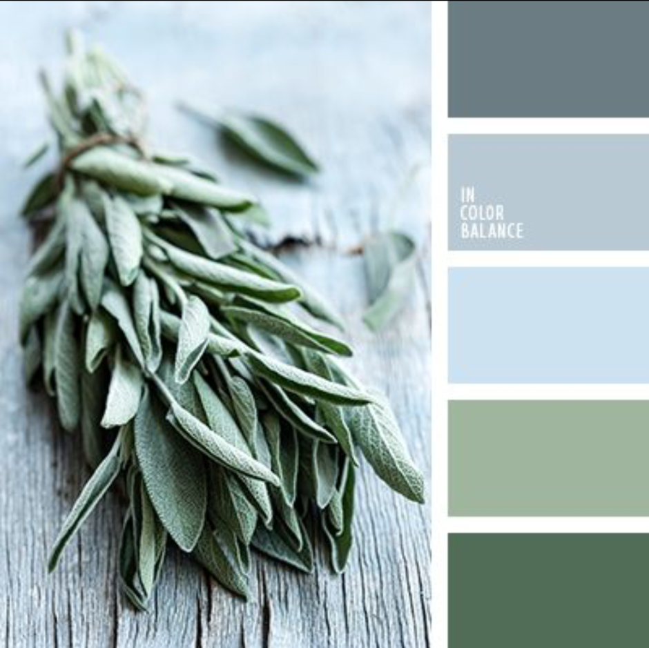 Палитра шалфей селадон олива