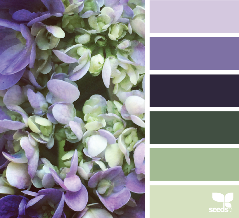 Цветовая палитра пантон шалфей