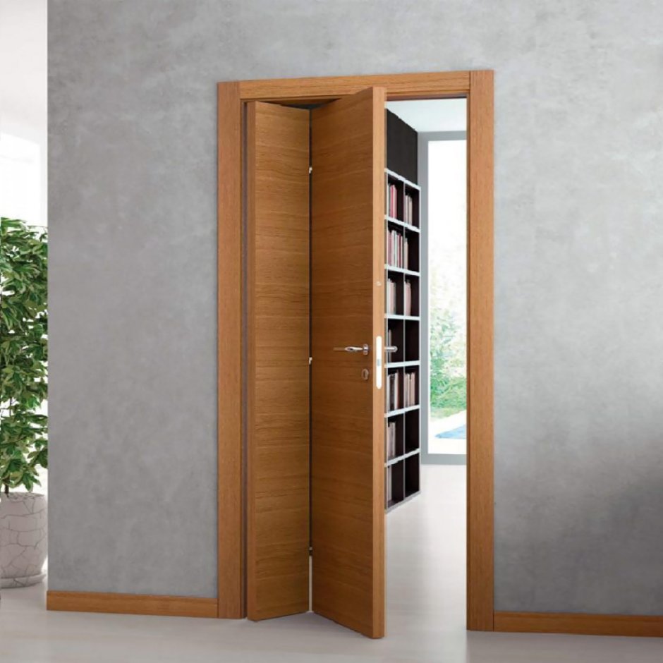 Двери книжка 90x205