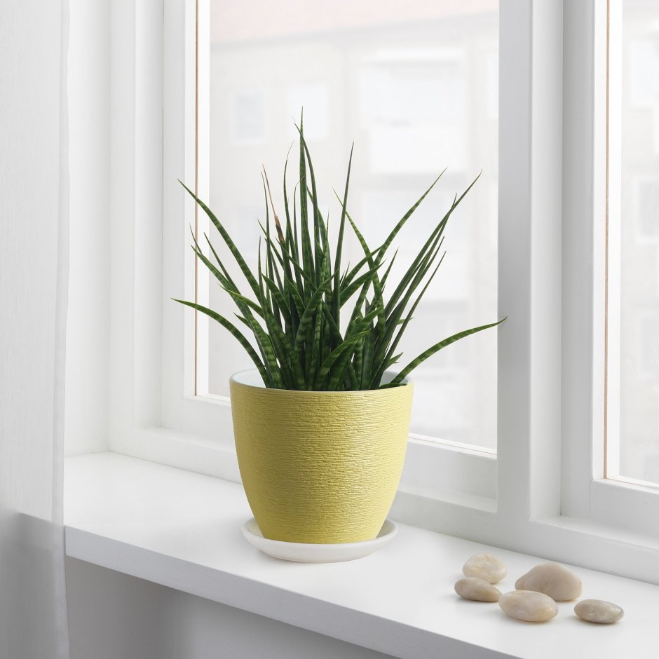 Ikea gradvis кашпо