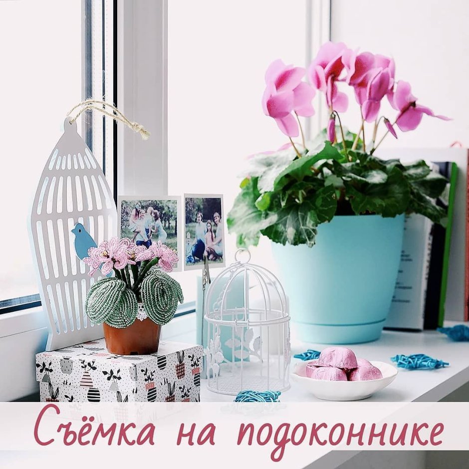 Инстаграм цветы на подоконниках