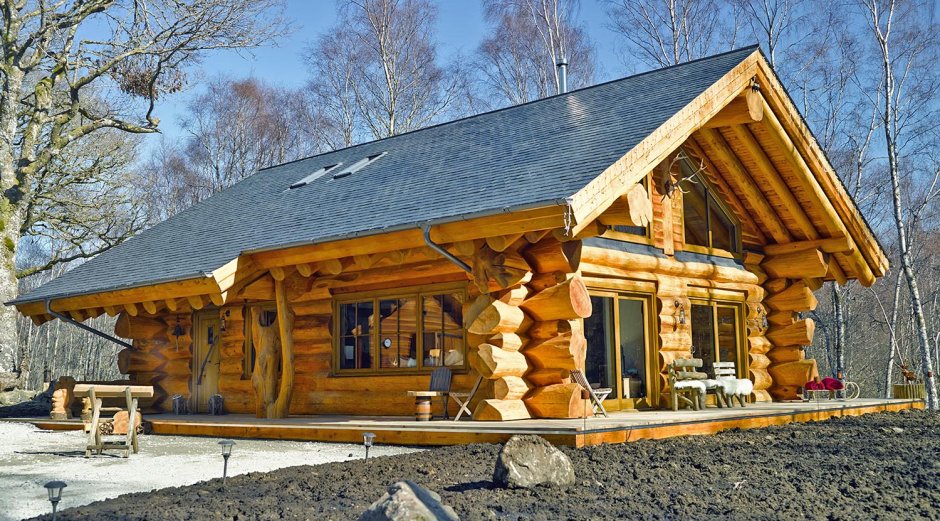 Дом из оцилиндрованного бревна Викинг