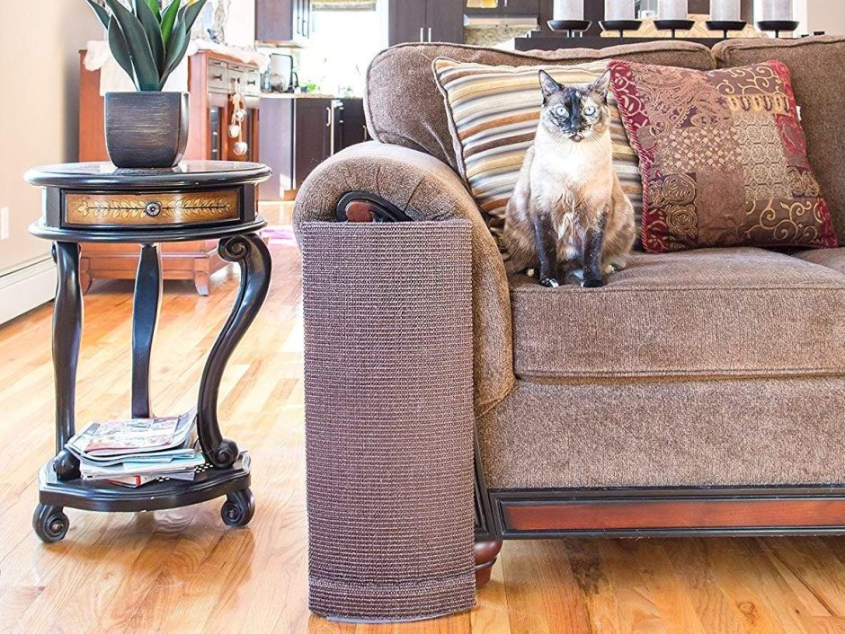 Мягкая мебель от котов