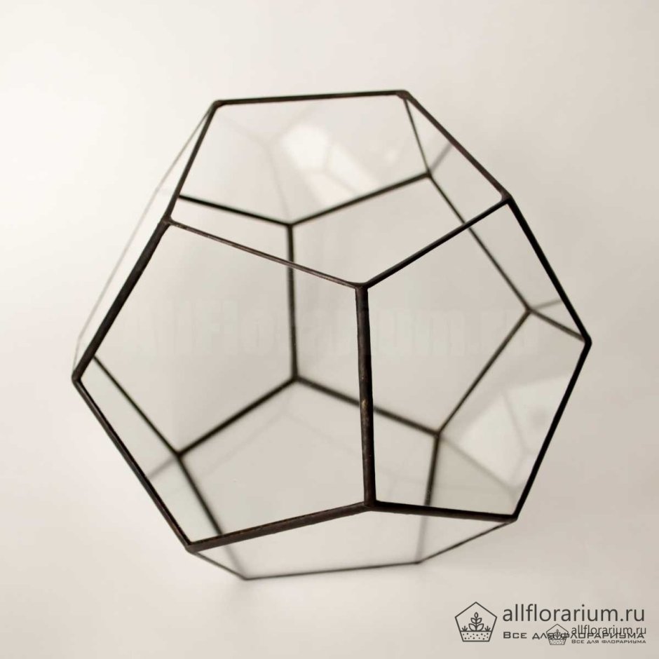Imaginary Dodecahedron