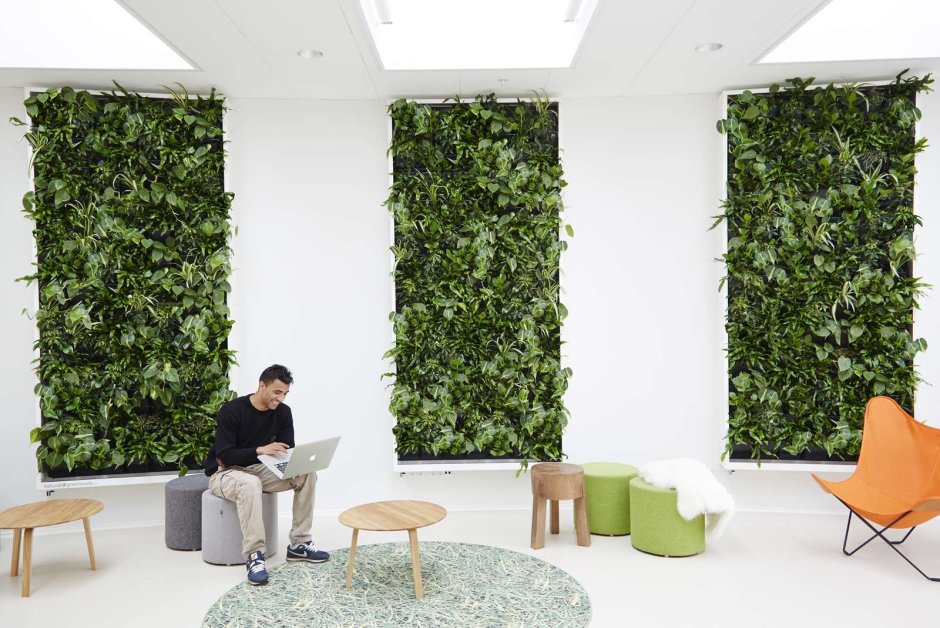 Живые зеленые стены natural Greenwalls