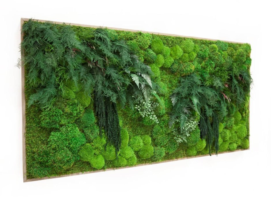 Moss Green / мох стабилизированный