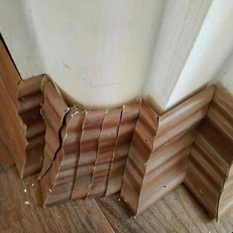 Смешные плинтуса