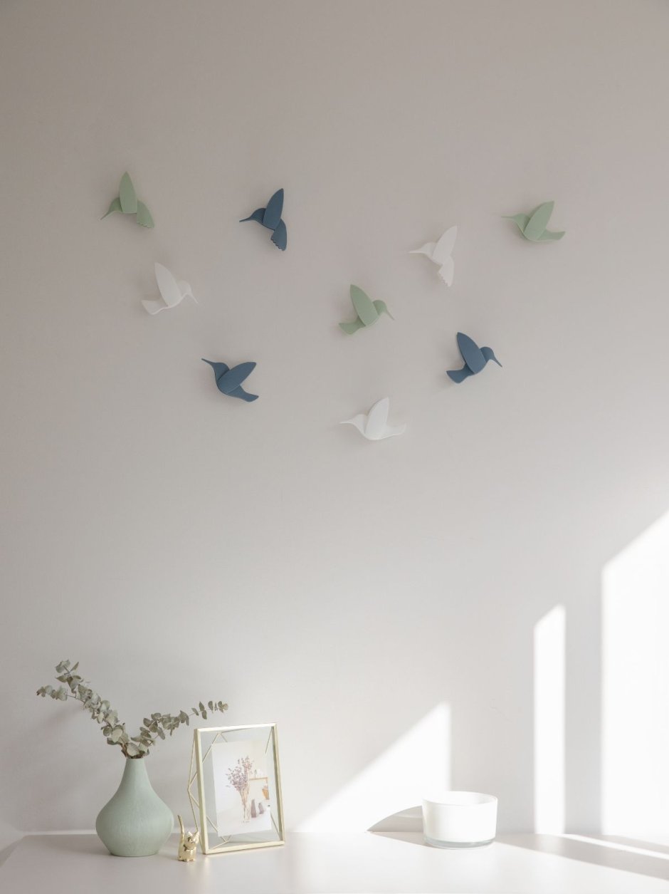 Hummingbird Umbra