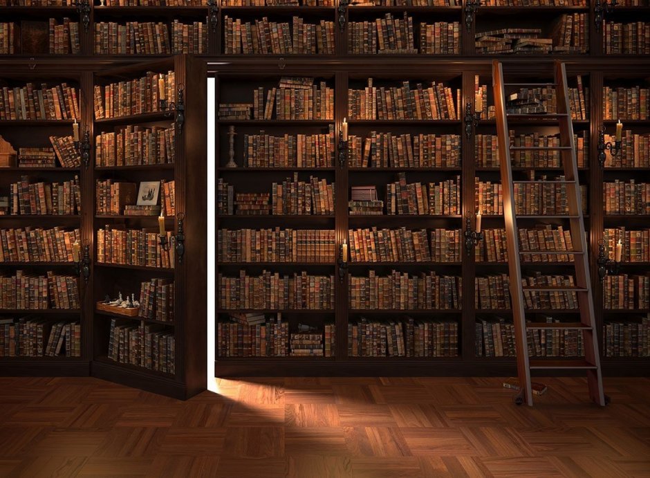 Книжные полки в библиотеке