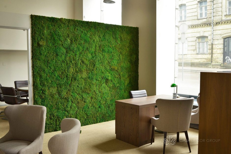 Green Room мох