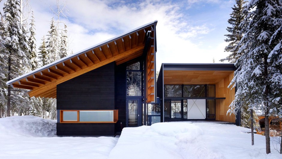 Barn House с односкатной крышей