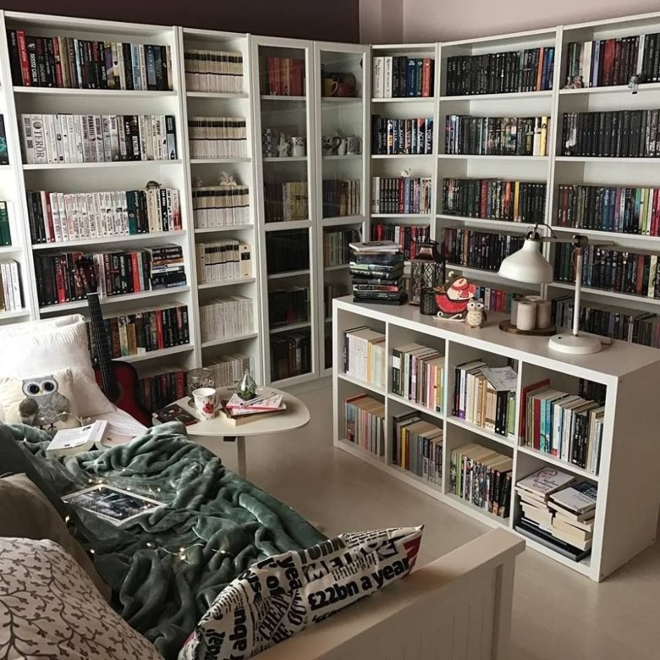 Красивые комнаты с книжными полками