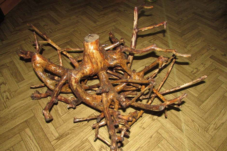 Лампа из корня дерева